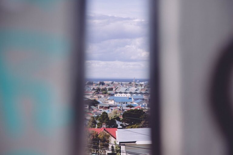 Essential Features to Look for in Travel Locks for Security