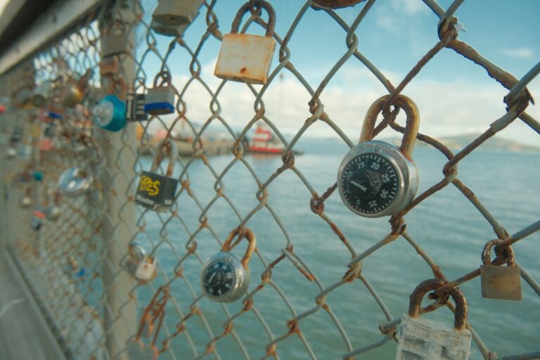 Traveling Smart: The Benefits of Using a Good Travel Lock